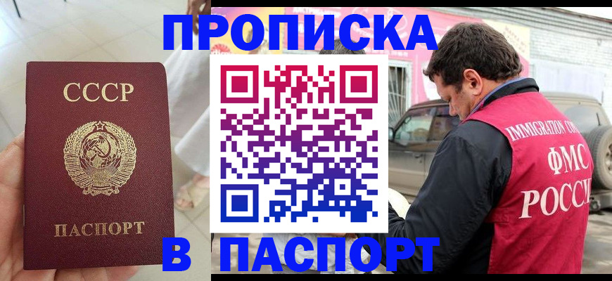 прописка поиск в Мытищах